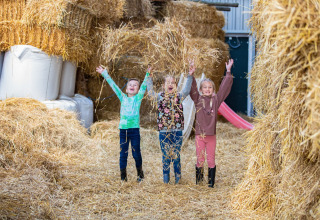Drie kinderen spelen blij tussen het stro bij FarmCamps De Bonte Fries, vakantiepark in Friesland.