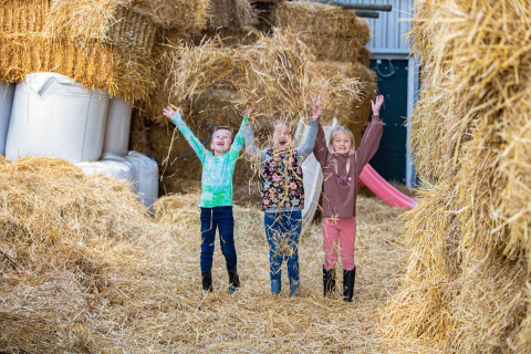Three kids joyfully play with straw bales at FarmCamps De Bonte Fries holiday park in Friesland, Netherlands.