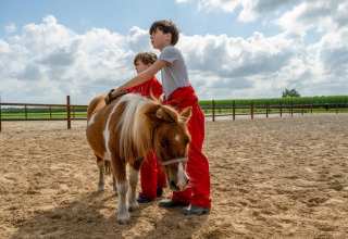 Zwei Kinder in roter Kleidung streicheln ein Pony auf dem Sandplatz bei FarmCamps De Bosrand, Drenthe, Niederlande.
