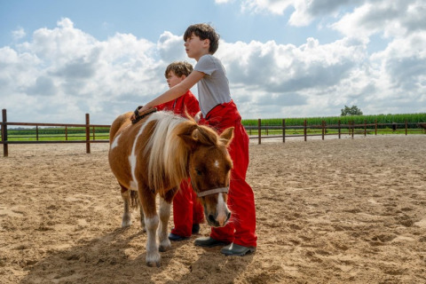 Twee kinderen in rode broeken aaien een kleine pony op het zand bij FarmCamps De Bosrand in Drenthe, Nederland.
