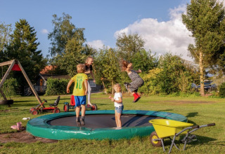 Børn leger og hopper på trampolin i det grønne område på FarmCamps De Bosrand i Drenthe, Holland.