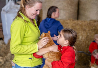 Vrouw en meisje geven een oranje katje aandacht in een schuur bij FarmCamps De Buitenhoeve, Gelderland.