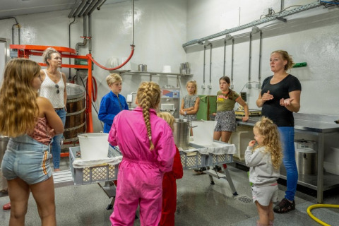 Kinder und Erwachsene nehmen an einer Führung bei FarmCamps De Buitenhoeve in Gelderland, Niederlande teil.