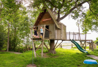 Børn leger i et træhus med rutsjebane på FarmCamps De Geele Bosch i Friesland, Holland, omgivet af natur.