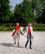 Dos niños disfrutan de una clase de equitación en FarmCamps De Geele Bosch, Friesland, Países Bajos.