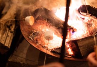Marshmallows werden über offenem Feuer geröstet im RØSTIG Dorst Ferienpark in Nordbrabant, Niederlande.