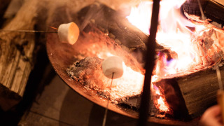 Marshmallows werden über offenem Feuer geröstet im RØSTIG Dorst Ferienpark in Nordbrabant, Niederlande.