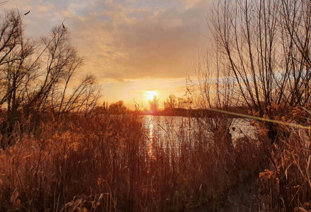Sonnenuntergang über einem See mit kahlen Bäumen und Schilf nahe Dorst, Nordbrabant, Niederlande.