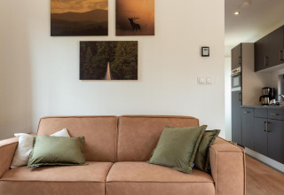 Modernes Wohnzimmer mit braunem Sofa und grünen Kissen in der Cube La Mer Lodge in Kohnenhof, Luxemburg.