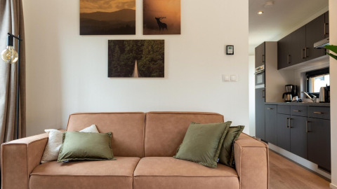 Modernes Wohnzimmer mit braunem Sofa und grünen Kissen in der Cube La Mer Lodge in Kohnenhof, Luxemburg.