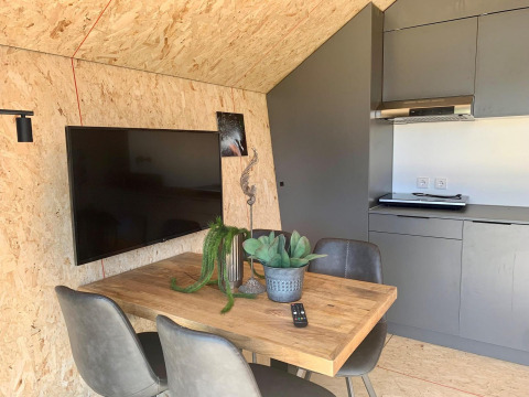 Moderne lodgeinteriør med spisebord, fire stole, fladskærms-tv, grå køkken og grønne planter.