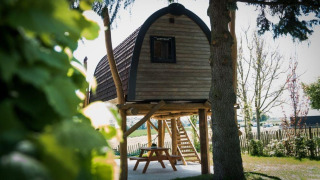 Une petite cabane perchée sur pilotis à Gulperberg, aux Pays-Bas, entourée de verdure et de nature.