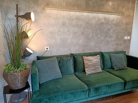 Grünes Sofa mit Kissen, Stehlampe und Korbpflanze im Grandeur Chalet, Gulperberg, Niederlande.