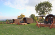 Træhytter med terrasser og hængekøjer på Woodlodge ved Gulperberg, Holland, omgivet af grøn natur.