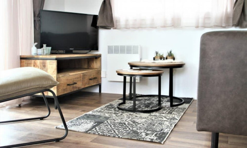 Woonkamer in Lodge Bellevue op de Gulperberg, Nederland, met tv, houten meubels en decoratieplanten.