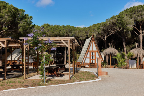 Vakantiepark in Andalusië, Spanje, met houten chalets, picknickbanken en dennenbomen onder blauwe hemel.