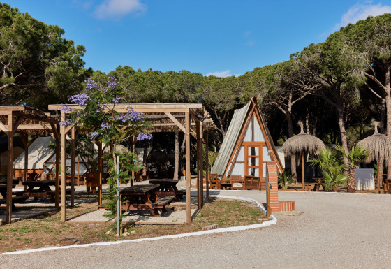 Vakantiepark in Andalusië, Spanje, met houten chalets, picknickbanken en dennenbomen onder blauwe hemel.