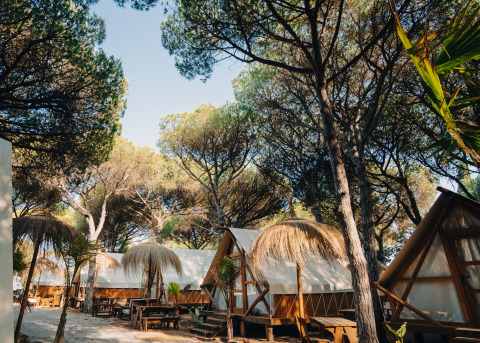 Glamping Tipi Retama safari-telte ved TAIGA Conil i Spanien, omgivet af træer og udendørs siddepladser.