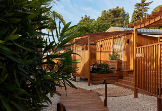 Træhytter omgivet af grønne planter i TAIGA Conil feriepark i Andalusien, Spanien på en solrig dag.