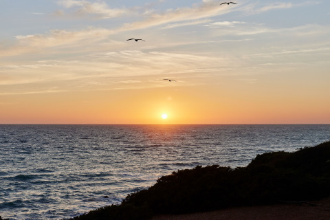 Sonnenuntergang über dem Meer im TAIGA Conil Ferienpark in Andalusien, Spanien, mit fliegenden Vögeln.