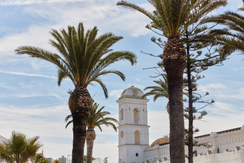 Palmer og hvidt tårn ved TAIGA Conil, en feriepark i Andalusien, Spanien, med blå himmel og skyer.