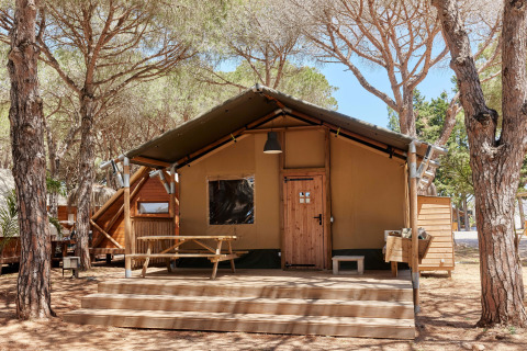Tienda safari llamada Glamping Safari Siroco Premium en TAIGA Conil, España, rodeada de pinos y naturaleza.