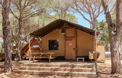 Tienda safari llamada Glamping Safari Siroco Premium en TAIGA Conil, España, rodeada de pinos y naturaleza.