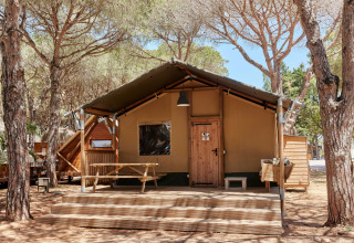 Tienda safari llamada Glamping Safari Siroco Premium en TAIGA Conil, España, rodeada de pinos y naturaleza.