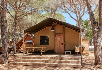 Tenda safari chiamata Glamping Safari Siroco Premium presso TAIGA Conil in Spagna, tra pini e natura.