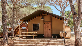 Tienda safari llamada Glamping Safari Siroco Premium en TAIGA Conil, España, rodeada de pinos y naturaleza.