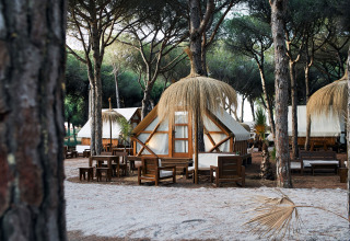 Glamping Tipi Retama safari-telte blandt træer med siddeområder på TAIGA Conil, Spanien, en rolig udendørs oplevelse.