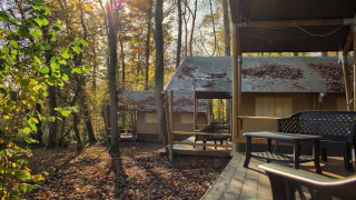 Tienda safari (BOS) con terraza de madera en el bosque, luz solar entre hojas y hojas sobre el techo.