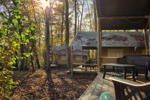 Safari tent (BOS) met houten terras in het bos, zonlicht door de bomen en bladeren op het dak.