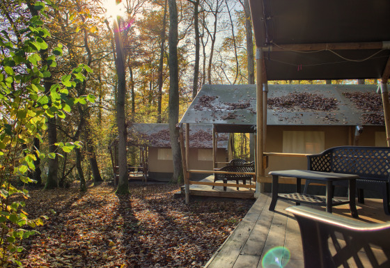 Tenda safari (BOS) con veranda in legno nel bosco, luce solare tra gli alberi e foglie sul tetto.