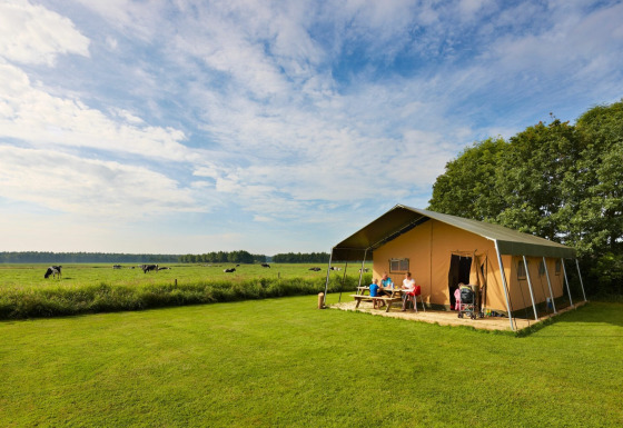 Family relaxing outside a safari tent on a green field, cows grazing in the distance under blue sky.