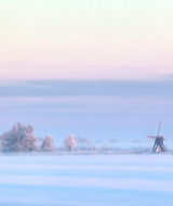 Paisaje nevado con molino de viento y árboles cerca de Slappeterp, Frisia, Países Bajos en tonos pastel.