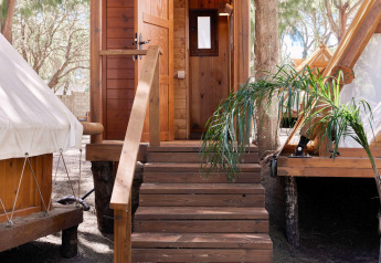 Holzhütte beim Glamping mit Treppe und offenem Eingang, umgeben von Bäumen in natürlicher Umgebung.