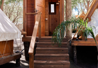 Cabaña de madera en un alojamiento glamping, con escalera y puerta abierta, rodeada de árboles.