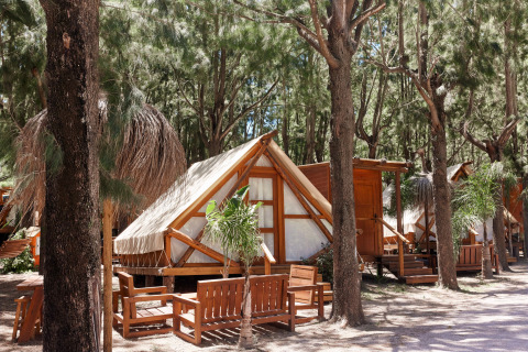Tienda safari Tamaral en TAIGA Tarifa, España, con muebles de madera y rodeada de pinos y naturaleza.