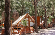 Safari-Zelt Tamaral bei TAIGA Tarifa in Spanien, umgeben von Pinienbäumen und Holzsitzgelegenheiten.