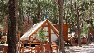 Safari-Zelt Tamaral bei TAIGA Tarifa in Spanien, umgeben von Pinienbäumen und Holzsitzgelegenheiten.