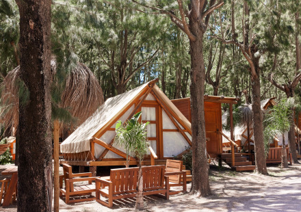 Safari-tent Tamaral bij TAIGA Tarifa in Spanje, met houten meubels en omgeven door hoge dennenbomen.