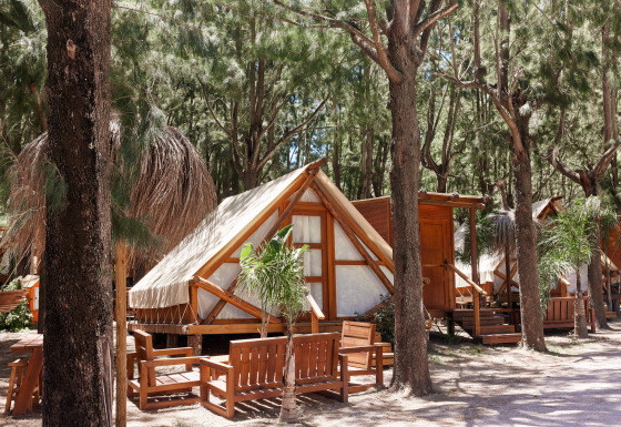 Safari-tent Tamaral bij TAIGA Tarifa in Spanje, houten zitjes buiten, omringd door dennenbomen.
