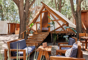 Safari tent Tamaral Tent bij TAIGA Tarifa in Spanje, met buitenterras en houten meubelen tussen de bomen.