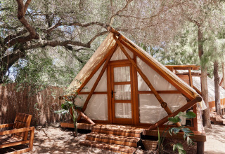 Tienda safari Tamaral Tent en TAIGA Tarifa, España, rodeada de árboles, con muebles de madera y terraza a la sombra.