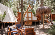 Zona de descanso al aire libre frente a la tienda safari Algaida en TAIGA Tarifa, rodeada de árboles en España.