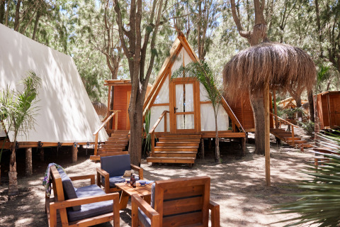Zona de descanso al aire libre frente a la tienda safari Algaida en TAIGA Tarifa, rodeada de árboles en España.