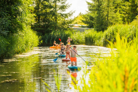 Personas remando y en kayak por el agua en Netl Camping Kallumaan, rodeados de naturaleza en Flevoland.