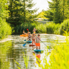 Personas remando y en kayak por el agua en Netl Camping Kallumaan, rodeados de naturaleza en Flevoland.
