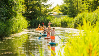 Personas remando y en kayak por el agua en Netl Camping Kallumaan, rodeados de naturaleza en Flevoland.